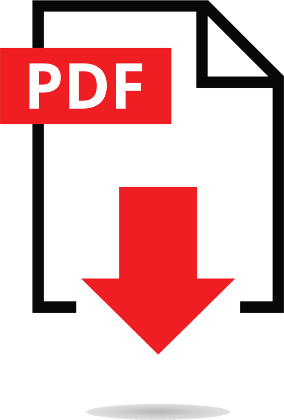 File Icon