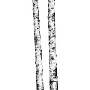 Cotto d'Este Kerlite Wonderwall Non Definito Natura 100x300 3,5mm Ritmi 02 /3Szt./