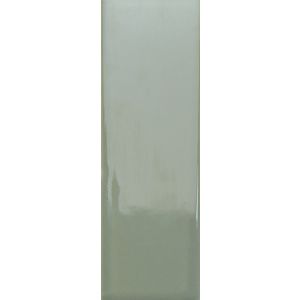 BITS KALE GLOSS 3,7x11,6