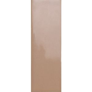 BITS CIDER GLOSS 3,7x11,6