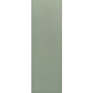 BITS KALE MATT 3,7x11,6