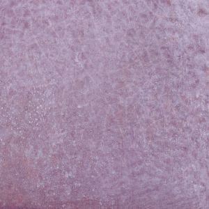 Harmony Dyroy Aubergine 10x10 Glossy /0,50m2/