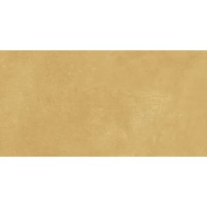 Boost Pro Mustard 40x80