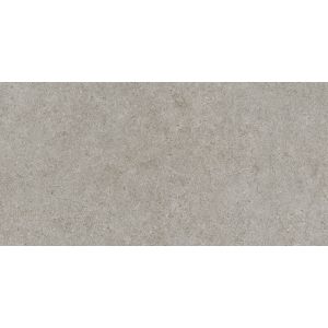 Boost Stone Grey 60x120  