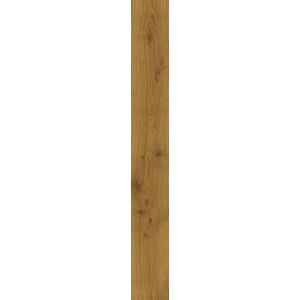 Exence Amber 30x120 20mm
