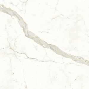 Marvel Calacatta Prestigio 120x120 Matt