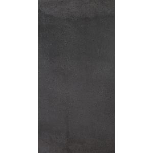 La Faenza COTTOFAENZA COTTOFAENZA49N 45x90 /1,215m2/