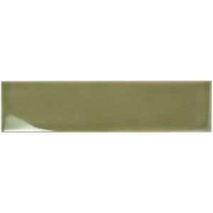 AQUARELLE OLIVE