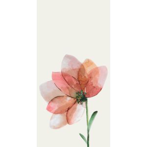 Cotto d'Este Kerlite Wonderwall Non Definito Natura 50x100 3,5mm Fleur D /1m2/