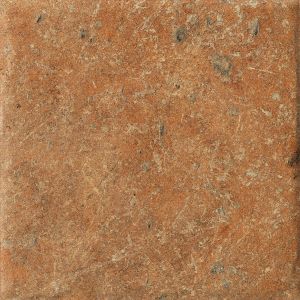 COTTO DEL CAMPIANO COTTO DORATO 20X20