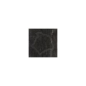 Versace Ceramics TOZ.MED.INT CARBON 5x5 NATURALE /4szt/