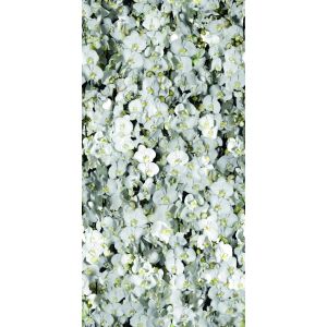 41zero42 Paper41 Pro Eva 50x100 /1m2/