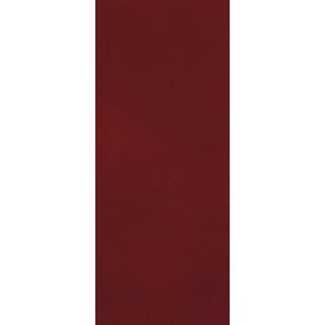 FAP MATERIA BRILLANTE BORGONA 50X120 RT