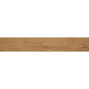 Fap Roots Gold 20x120 matt /1,44m2/