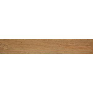 Fap Roots Gold 20x120 out /1,44m2/