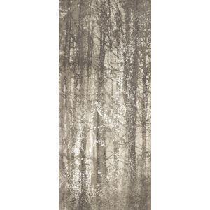 YLICO YC 278 WOOD FOG