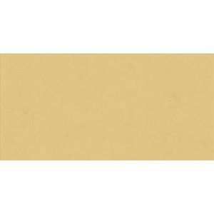 ABK Wide&Style Mini Ginger 60x120 Naturale /1,44m2