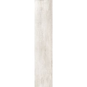 Rondine Greenwood Bianco 24x120