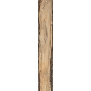 Rondine Sherwood Oak 24x150