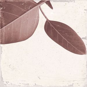 Keros Decorado Botanic Fall 25x25 /1m2/