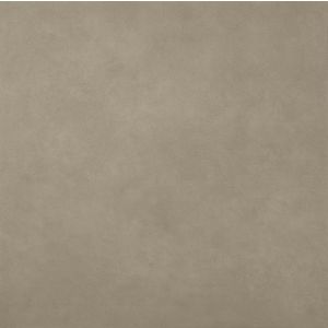 Slimtech Pigmenti Lichen Pls 3*1000x1000x3,5