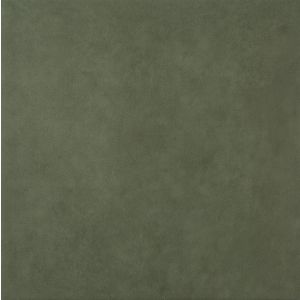 Slimtech Pigmenti Moss Pls 3*1000x1000x3,5