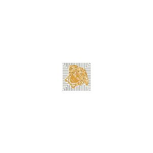 Versace Ceramics TOZ.MED.LAP BIAN/ORO 2,7x2,7 LUX /4szt/