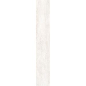 Roberto Cavalli Tws Wood Blanc Nt Rt