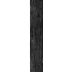 Roberto Cavalli Tws Wood Noir Rt