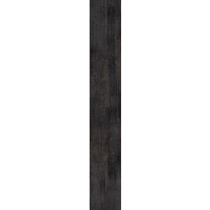 Roberto Cavalli Tws Wood Dark Rt