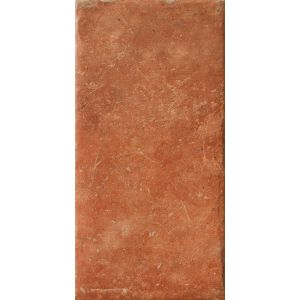 COTTO DEL CAMPIANO ROSSO SIENA 20X40
