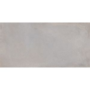 Saloni Metallo-Sa Gris 120x60 Rectificado