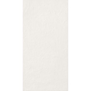 CHROMAGIC TASTY OYSTER RET 60X120