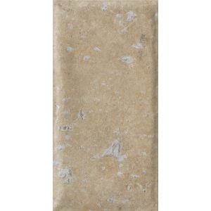 COTTO DEL CAMPIANO TERRA DI PIENZA R11 20X40