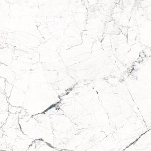 Fanal-Windsor White 120X120 Sshine